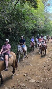 Stunning Costa Rica landscape with rain forest, beaches, wildlife, and tropical travel destinations.