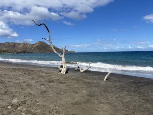 Stunning Costa Rica landscape with rain forest, beaches, wildlife, and tropical travel destinations.