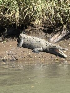 Stunning Costa Rica landscape with rain forest, beaches, wildlife, and tropical travel destinations.