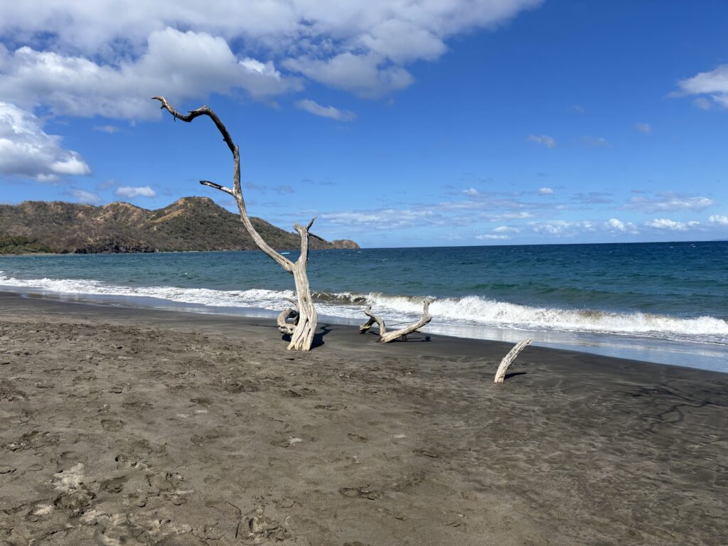 🏝️ Caribbean Islands Ranked by Exclusivity