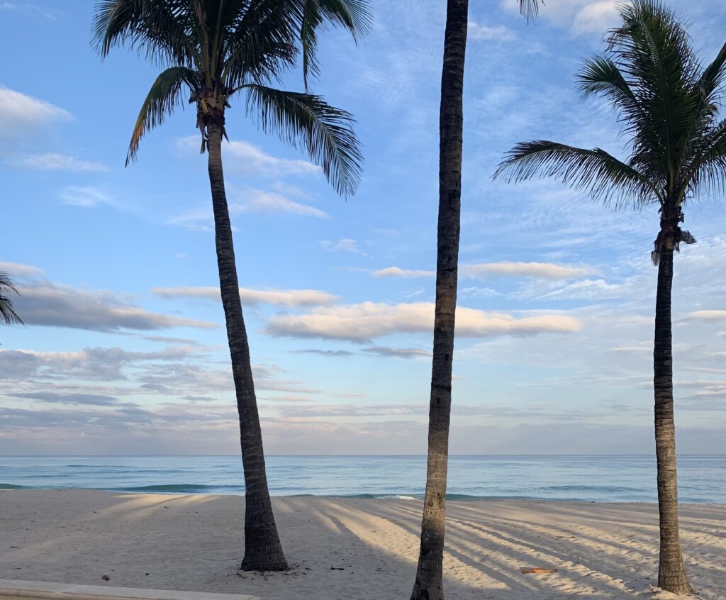 🚢Fort Lauderdale Travel Blog: Beaches, Wildlife & Waterfront Luxury