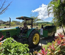 Stunning Costa Rica landscape with rain forest, beaches, wildlife, and tropical travel destinations.