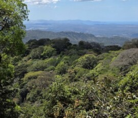 Stunning Costa Rica landscape with rain forest, beaches, wildlife, and tropical travel destinations.