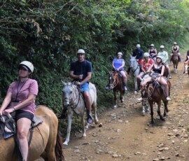 Stunning Costa Rica landscape with rain forest, beaches, wildlife, and tropical travel destinations.