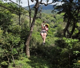 Stunning Costa Rica landscape with rain forest, beaches, wildlife, and tropical travel destinations.