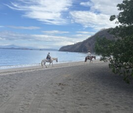 Stunning Costa Rica landscape with rain forest, beaches, wildlife, and tropical travel destinations.