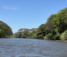 Stunning Costa Rica landscape with rain forest, beaches, wildlife, and tropical travel destinations.