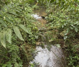 Stunning Costa Rica landscape with rain forest, beaches, wildlife, and tropical travel destinations.