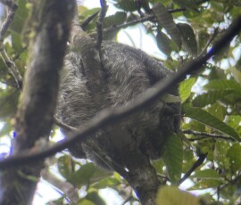 Stunning Costa Rica landscape with rain forest, beaches, wildlife, and tropical travel destinations.