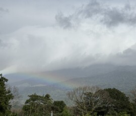 Stunning Costa Rica landscape with rain forest, beaches, wildlife, and tropical travel destinations.